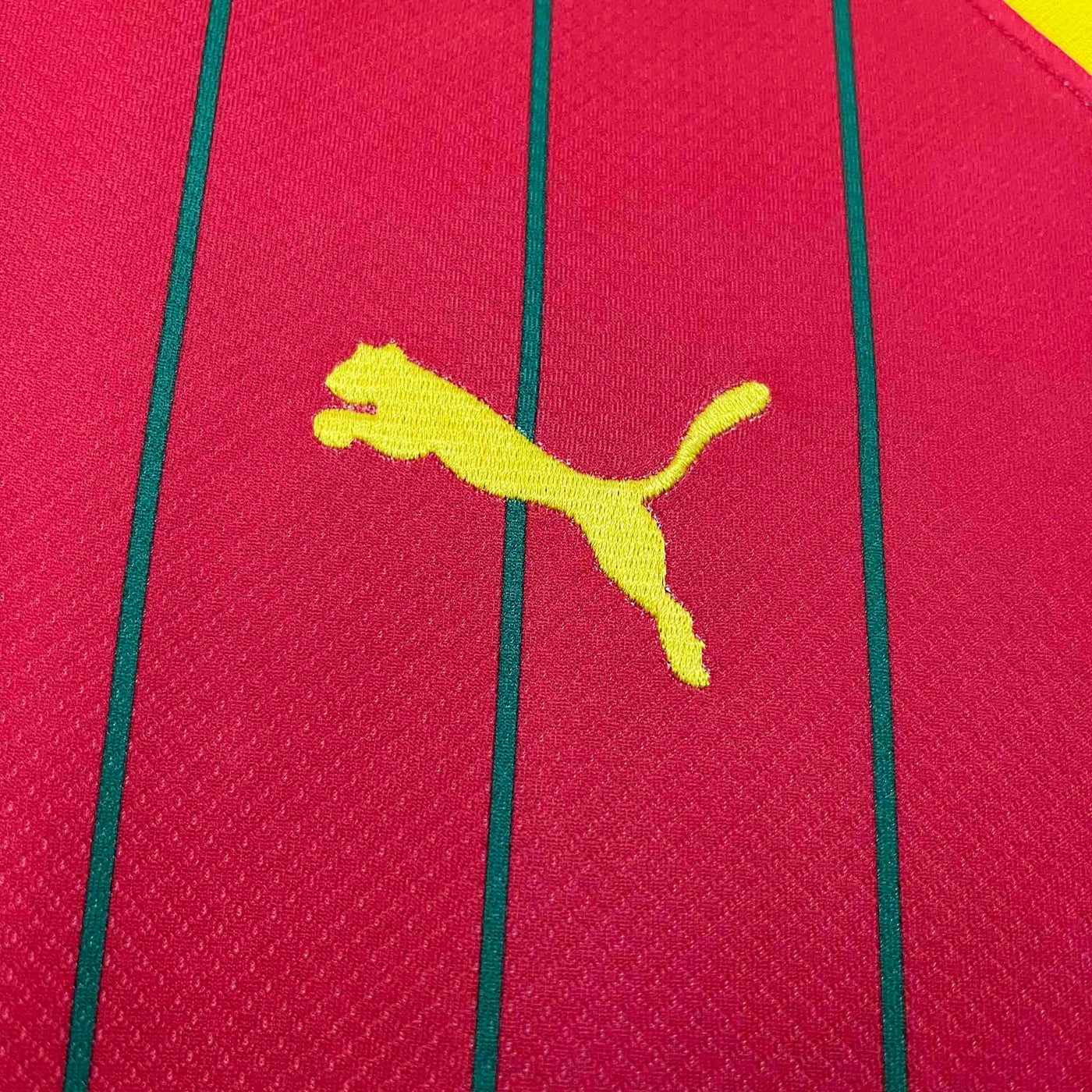 Guinea 24/25 Home (Fan)