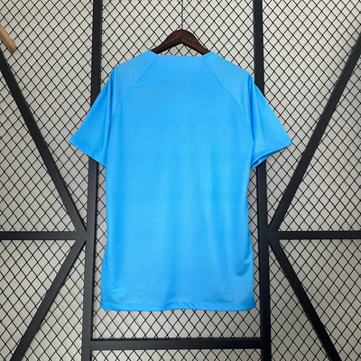 Netherlands 24/25 Special Edition (Fan)
