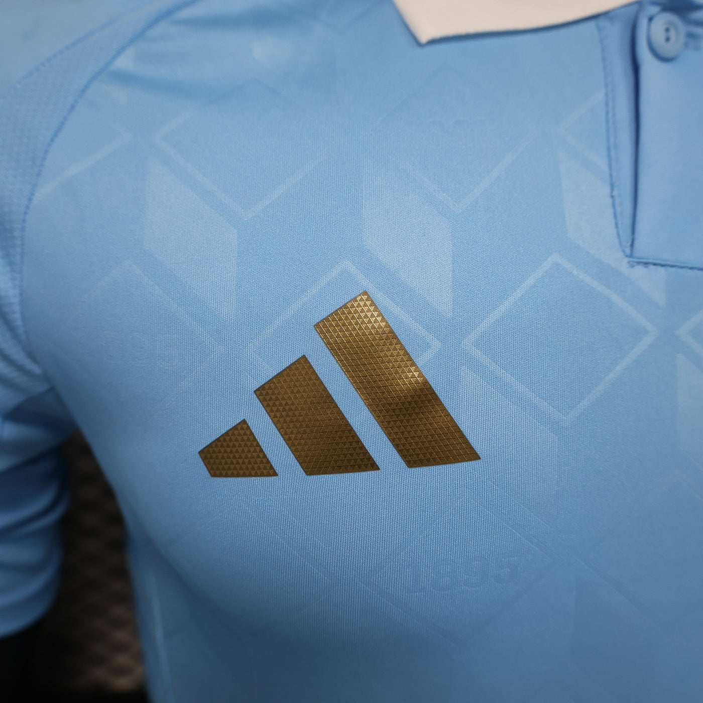 Belgium Euros 24/25 Away (Player), Detail
